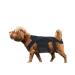 KOSDFOGE Dog Back Brace for Dogs Arthritis Polyester Strong Rigidity Flexible Back Supporting Vest for Walking Dogs Back Prevention(S)