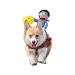 T2Y Cowboy Rider Dog Costume - Halloween Dog Costumes for Medium and Large Dogs, Dogs Clothes Knight Style with Doll and Hat for Halloween Day Pet Costume(Medium)