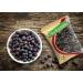 ORGANIZE AOZA Herbaveda Dried Juniper Berry 100g Imported - Buy Online on GoSupps.com