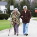 Buy Foldable Walking Sticks for Seniors - Adjustable T-Handle Walking Aids for Men & Women | Stylish Black & Violet Flower Designs - Buy Online on GoSupps.com