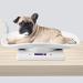 10kg Digital Portable Baby & Pet Scale | Accurate 1g Measurement for Infants Cats & Dogs | Electronic Scale with Tray - Buy Online on GoSupps.com