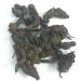 CROW Tagar Ganth - Mushkbala - Sugandhabala - Valerian Root - Valeriana Wallichi (50 GMS)