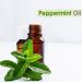 Buy Pure Peppermint Essential Oil (15ml) - Organic Undiluted for Hair Skin & Aromatherapy | Global Shipping Available - Buy Online on GoSupps.com