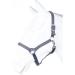 Shop RL24 Nylon Halter BASICLINE Grey for Shetty | Durable & Stylish Horse Gear - International Shipping Available - Buy Online on GoSupps.com