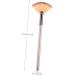 FOMIYES Blush Makeup Brush Highlighter Handle Makeup Brush Fan Ladies Suits Professional Makeup Bling Makeup Makeup Fan Make up Fan Face Lip Gloss Bamboo Miss Size 1 As Shown - Buy Online on GoSupps.com