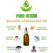 Pure Herbs Grape Seed Oil 30ml | Natural Therapeutic Carrier Oil | Vitis Vinifera - Shop Internationally - Buy Online on GoSupps.com