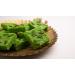 Festival Special Premium (Green Pista Barfi) Delicious Indian Traditional Sweets To Sweeten Up Your Celebration Best Gift For All Occasions Marriage Diwali Holi Raksha Bandhan Sold By Kidzbuzz (2kg) - Buy Online on GoSupps.com