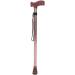 Crutches Walking Cane Adjustable Walking Stick Anti-Slip Walking Cane Adjustable HEI Hand Walking Stick Ideal Daily Living Aid for Limited Mobility (Bronze) HGCHH Smooth Sailing - Buy Online on GoSupps.com