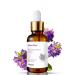 MaerWaw Advanced Bakuchiol Retinol Rejuvenation Serum - For Face Anti Aging Wrinkle Care and Hyaluronic Acid With Moisturize Wrinkle Reduction Skin Firming & Smoothing Vitamin C to Brighten - Buy Online on GoSupps.com