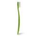 RADIUS Toddler Toothbrush and Toothpaste Bundle for Kids - 2 Pack Totz Extra Soft Brush in Blue and Green Sparkle with Dragon Fruit Toothpaste - For Children 18 Months and Up - Buy Online on GoSupps.com