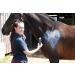Aqueos Spray on Plaster for Dogs Cats Horses and All Animals - Protects Minor Wounds from Germs Insect and Fly for use in Dog First Aid Kit / 200ml - Buy Online on GoSupps.com