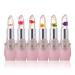 Seazoon Moisturizing Jelly Flower Lipstick | Color Changing & Waterproof Magic Lip Gloss - Buy Online on GoSupps.com