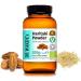 Organic Haritaki Powder - 100g | Pure Raw & Dried | Ayurvedic Herb by Dr. Wakde | Vegan | Same Day Dispatch - Buy Online on GoSupps.com