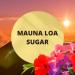 Black Canyon Mauna Loa Sugar Scented Body Spray with Jojoba Oil 1 Gal - Buy Online on GoSupps.com