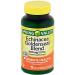 SpringValley Echinacea Goldenseal Blend - Supports Immune Health - 900 mg 75 Capsules