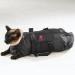 Heavy Duty Mesh Cat Grooming Bathing Restraint Bag 3 Sizes & Vet Sets Available(Medium) - Buy Online on GoSupps.com