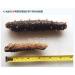 XLSEAFOOD Premium Grade Small Alaska Sea Cucumber - 0.5 lb Pack (16-22 pcs) - Buy Online on GoSupps.com