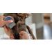 Professional Stainless Steel Lice Comb - Removes Nits and Super Lice - Head Lice Treatment Brush - Buy Online on GoSupps.com