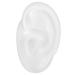 Silicone ear model simulation artificial ear display model for wearing hearing aids window display & exercise for ear impressions (left ear)