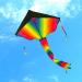 Homdipoo Rainbow Octopus Kite 2-Pack for Kids and Adults - Easy-to-Fly Kites with Handles and 300ft String - Outdoor Beach Kite in Multicolor (MUL+Blue) - Buy Online on GoSupps.com