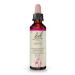 Original Bach Flower Drops No. 19 Larch: Self-confidence and determination with the Bach Flower Larch 20ml