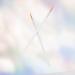 100pcs Disposable Eyeliner Brush - Safe Applicator Eye Makeup Tool | Premium Nylon Cosmetic Brush for Flawless Eye Looks - Buy Online on GoSupps.com