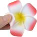 BN 10-Part Set Frangipani Beach Hair Clips for Girls & Women | Perfect for Weddings Celebrations & Holidays | Artificial Foam Floral Hair Accessories - Buy Online on GoSupps.com