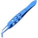 dijiusidy Eyelid Tweezers Non-Slip Cleaning Clips Clogging Removal Clamps Adults Women Men Cosmetics Tools Health Care Accessories Small Rectangle Tip - Buy Online on GoSupps.com