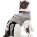 Yuhtech Cat Recovery suit Catwear cat Recovery Suit cat suit for rehabilitation for clothing at home wear after the operation (M-Bength-40-45cm)