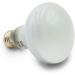 Terra Exotica 100W Heat Spot 3 Pack - Ideal Reptile Terrarium Lighting & Heat Lamps - 25W to 150W Options Available - Buy Online on GoSupps.com