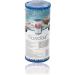 Bestway 58093P Filter Cartridge Size I - Pack of 2 | Optimal Replacement for Clean Water - Buy Online on GoSupps.com