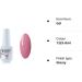 Vishine Brand Nail Varnish Gloss Polish 8ml Bottle UV Gel Polish Nail Manicure Lacquer #1325 1325-8ml - Buy Online on GoSupps.com