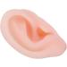 Silicone Earmold Ear Picking Practice Tools 1:1 Restoration Educational Tools Clear - Buy Online on GoSupps.com