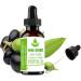 Buy Pure Herbs Laurel Berry Essential Oil (Laurus Nobilis) 10ml | 100% Pure & Natural | International Shipping Available - Buy Online on GoSupps.com