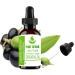 Pure Herbs Laurel Berry (Laurus Nobilis) Essential Oils 10ml