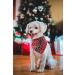 Lionheart Glory Dog Haller Washable Soft Cotton Christmas Neckerchief for Large Dogs | Adjustable Green & Red Kerchief | Perfect Holiday Accessory (1 Pack) - Buy Online on GoSupps.com