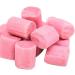 Remineralizing Vegan Tooth Powder for Kids | Bubblegum Flavor | Natural Whitening & Stronger Teeth | 1.5oz - Buy Online on GoSupps.com