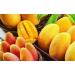 4 Pound (1816 grams) Dried peeled mango slices Grade A from Yunnan. - Buy Online on GoSupps.com
