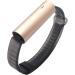 Deevoka 2-Pack Durable Watch Band Straps with Secure Clasp - Buy Online on GoSupps.com