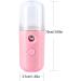 Facial Mister Portable Mini Face Sprayer USB Rechargeable Facial for Hydratin Face Sprayer Pink - Buy Online on GoSupps.com