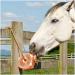 Himalayan Animal Lick Salt - Natural Pure Pink Salt Block on a Rope Horses Deer Goats Cattle Rabbits 6-8 LBS - Buy Online on GoSupps.com
