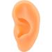Silicone Ear Display Mould - Lifelike Educational Model for Hospital (Right Ear) - Buy Online on GoSupps.com