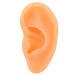 Soft Silicone Ear Model Simulation Ear Acupuncture Practice Model Professional Ear Display Mould for Hearing Aid Earrings Wearing Demonstration(Right)