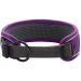 HUNTER DIVO Nylon Dog Collar - Small Purple/Grey - International Shipping Available - Buy Online on GoSupps.com