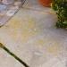 Lakeland Patio and Driveway Cleaner 1 Litre - Buy Online on GoSupps.com