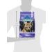 Blue Buffalo Wilderness High Protein Grain Free Kitten Dry Cat Food - Chicken, 5lb Pack - Buy Online on GoSupps.com