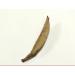 Aiguille d'argent Th blanc naturel Feuilles mobiles Th Elizabeth Arden Bai Hao Yin Zhen (250g) - Buy Online on GoSupps.com