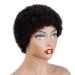 Boccte Afro Wig - Curly Short Human Hair Wigs for Black Women | Brazilian Natural Black No Cap Needed - Buy Online on GoSupps.com