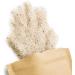 Terra Elements Organic Psyllium Envelopes 250g I 100% Pure I Vegan I Raw Quality - Buy Online on GoSupps.com