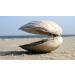 LaMonica Sea Clam Juice 46 Oz. (2 Pack) - Premium Quality Clam Juice for Cooking and Cocktails - Buy Online on GoSupps.com